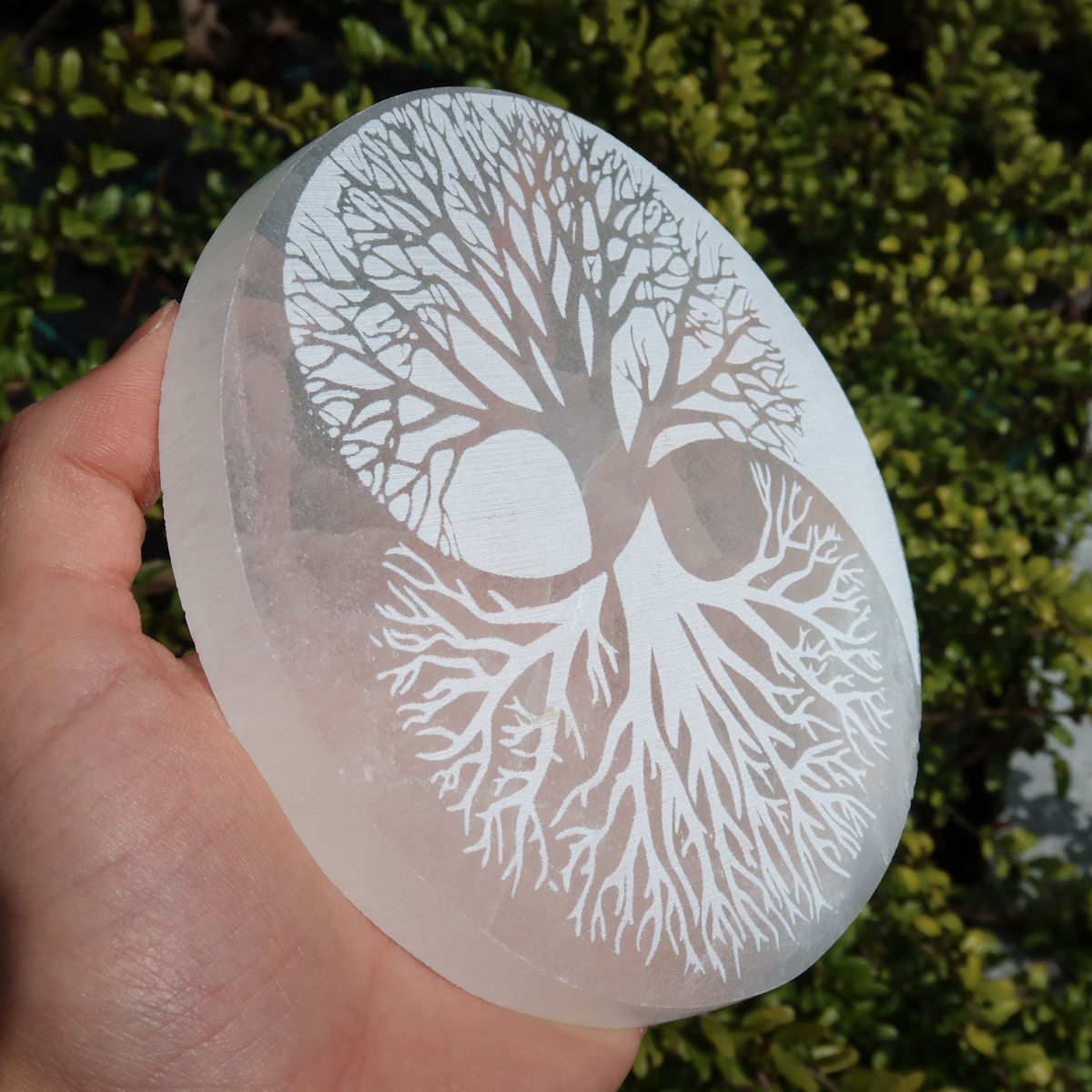 Selenit laddplatta - Livets träd - Yin Yang - 12 cm