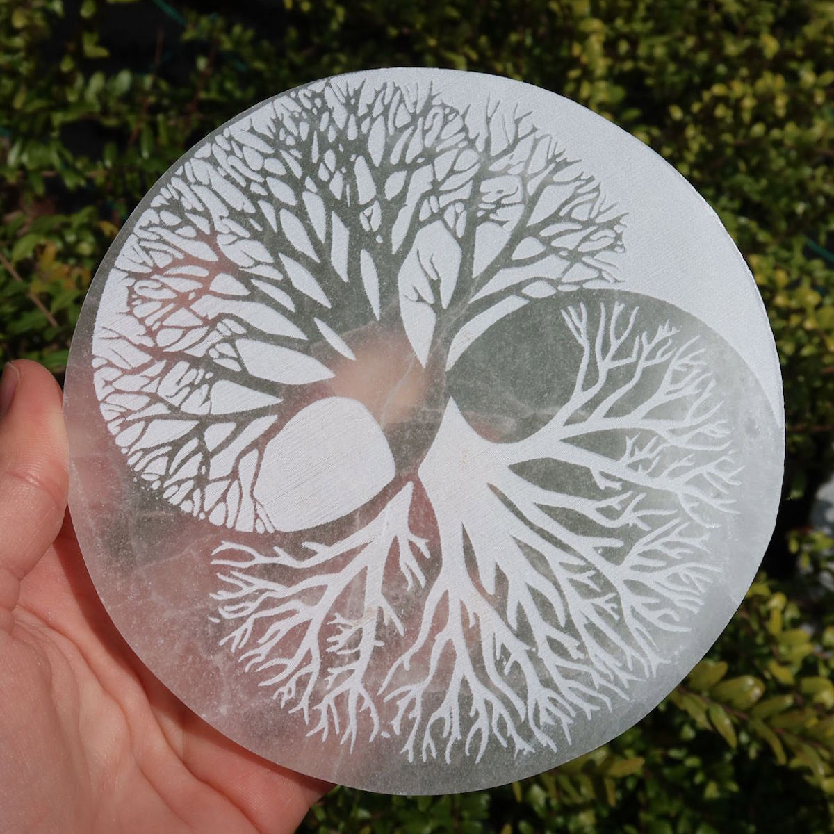 Selenit laddplatta - Livets träd - Yin Yang - 12 cm