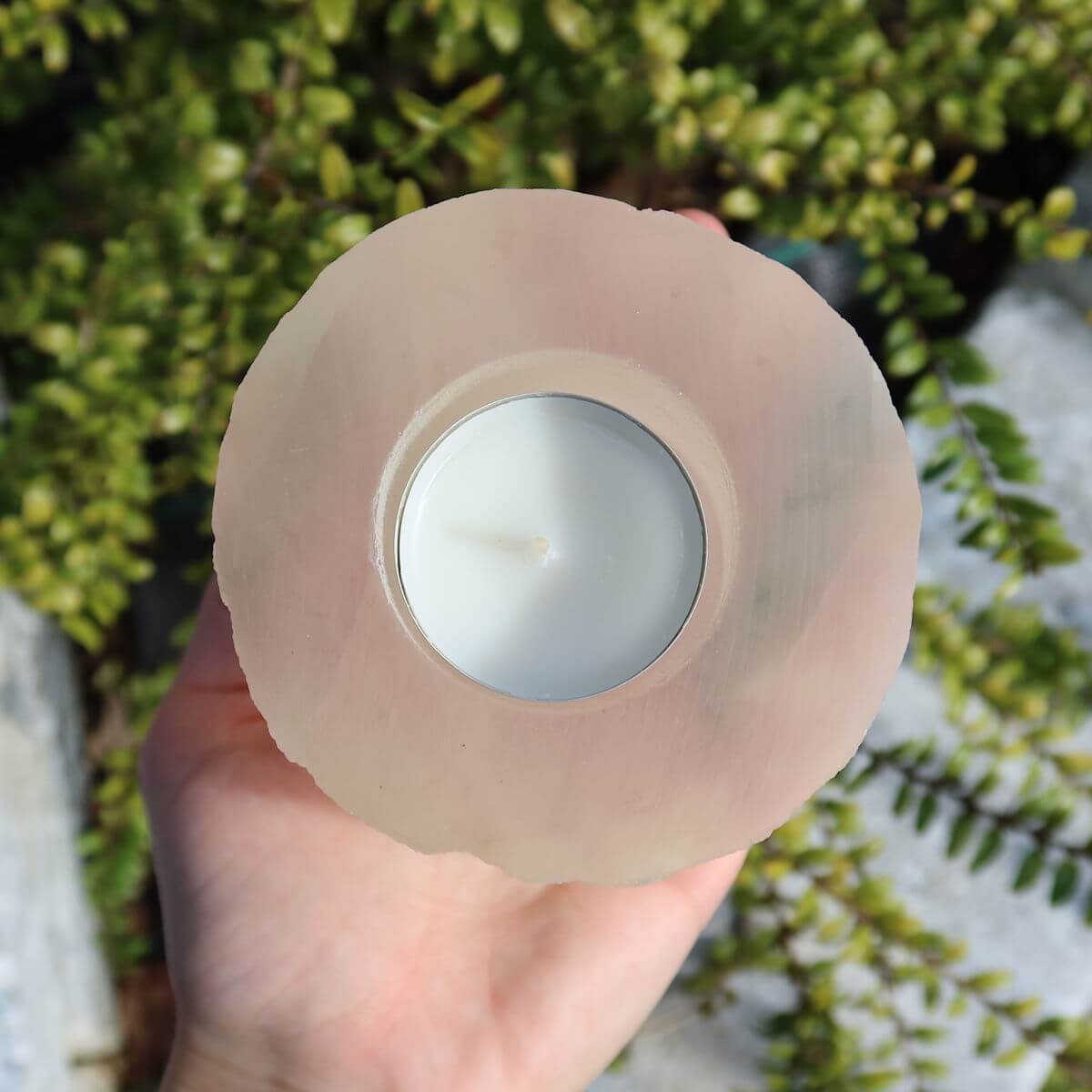 Hand holding a round Selenite tealight holder candle against a background of green leaves, showcasing its translucent properties.