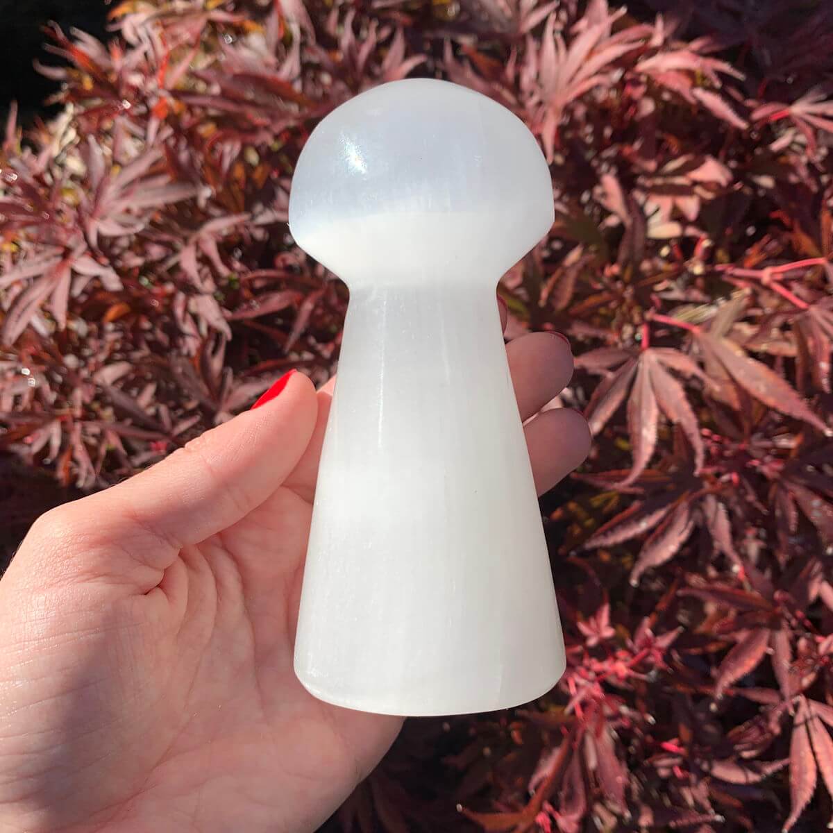 Selenit Pilz kaufen bei Steinwelten 