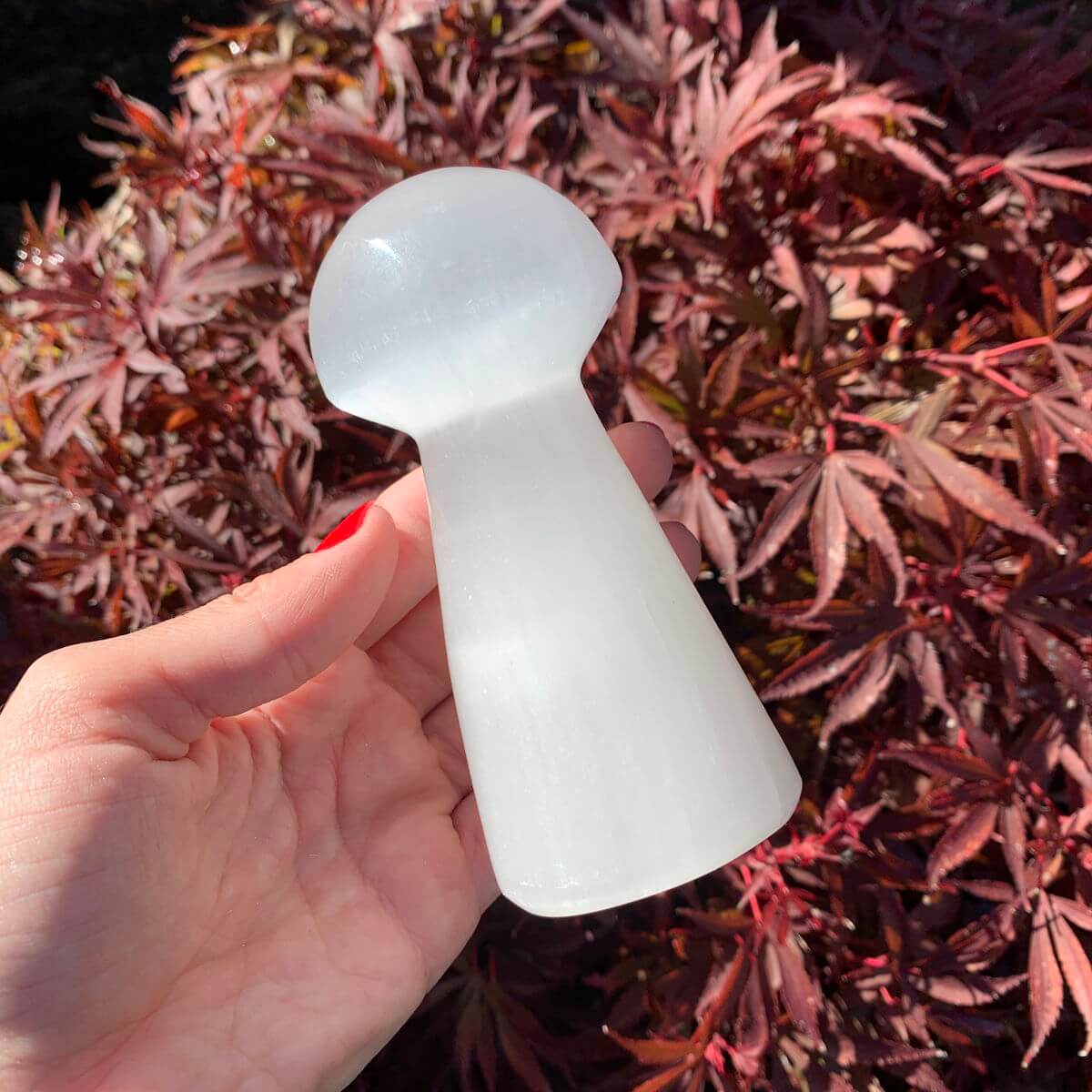 Selenit Pilz kaufen bei Steinwelten 