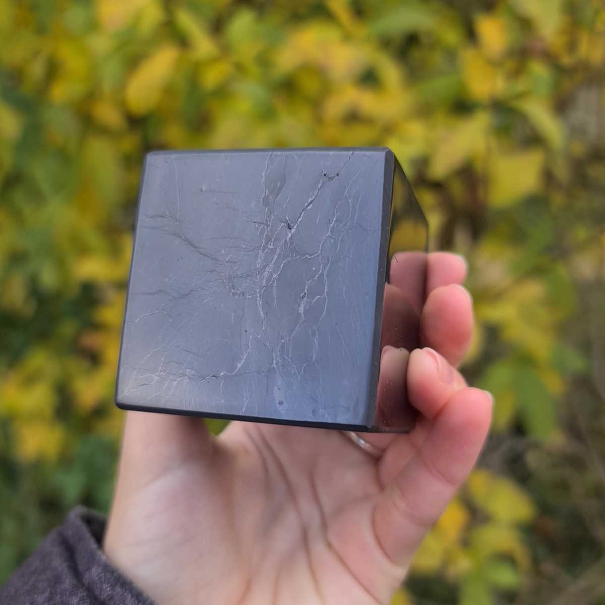 Geschliffener Würfel Schungit