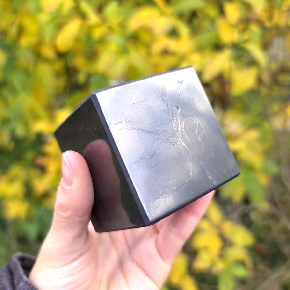 Geschliffener Würfel Schungit