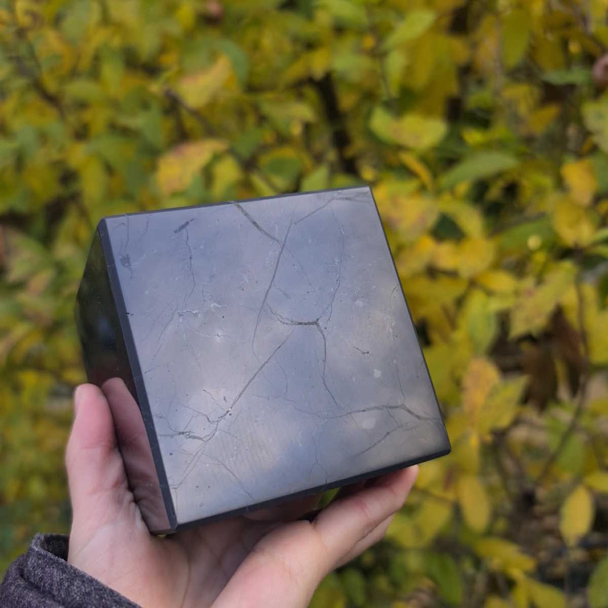 Großer Schungit Würfel Steinwelten 