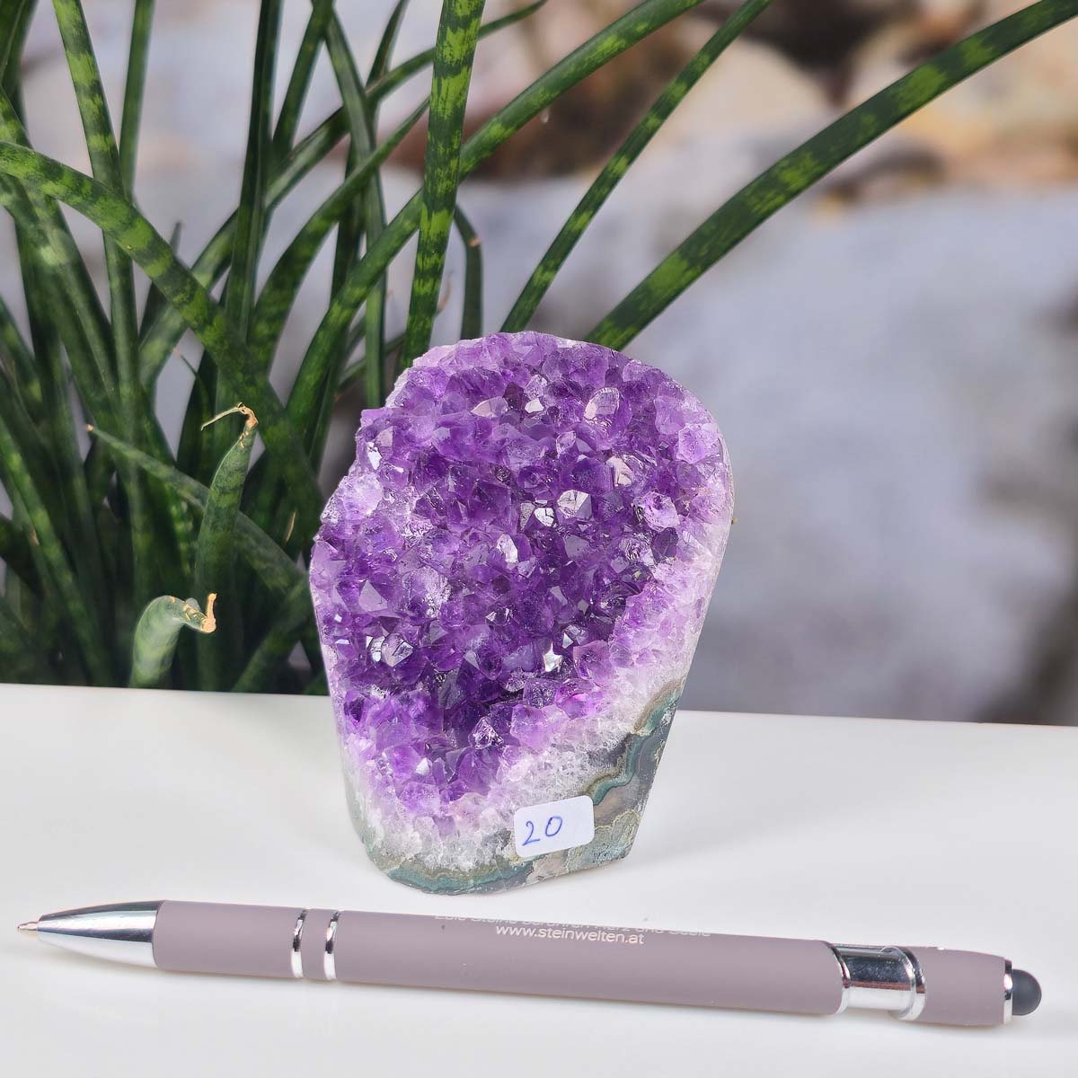 Uruguay Amethyst Mini Geode - 10x7x6cm - Harmonie und Entspannung – extra dunkler Qualität - NR 20, violet crystals with plant backdrop