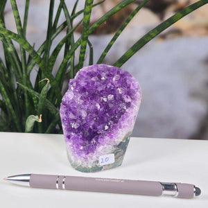 Uruguay Amethyst Mini Geode - 10x7x6cm - Harmonie und Entspannung – extra dunkler Qualität - NR 20, violet crystals with plant backdrop