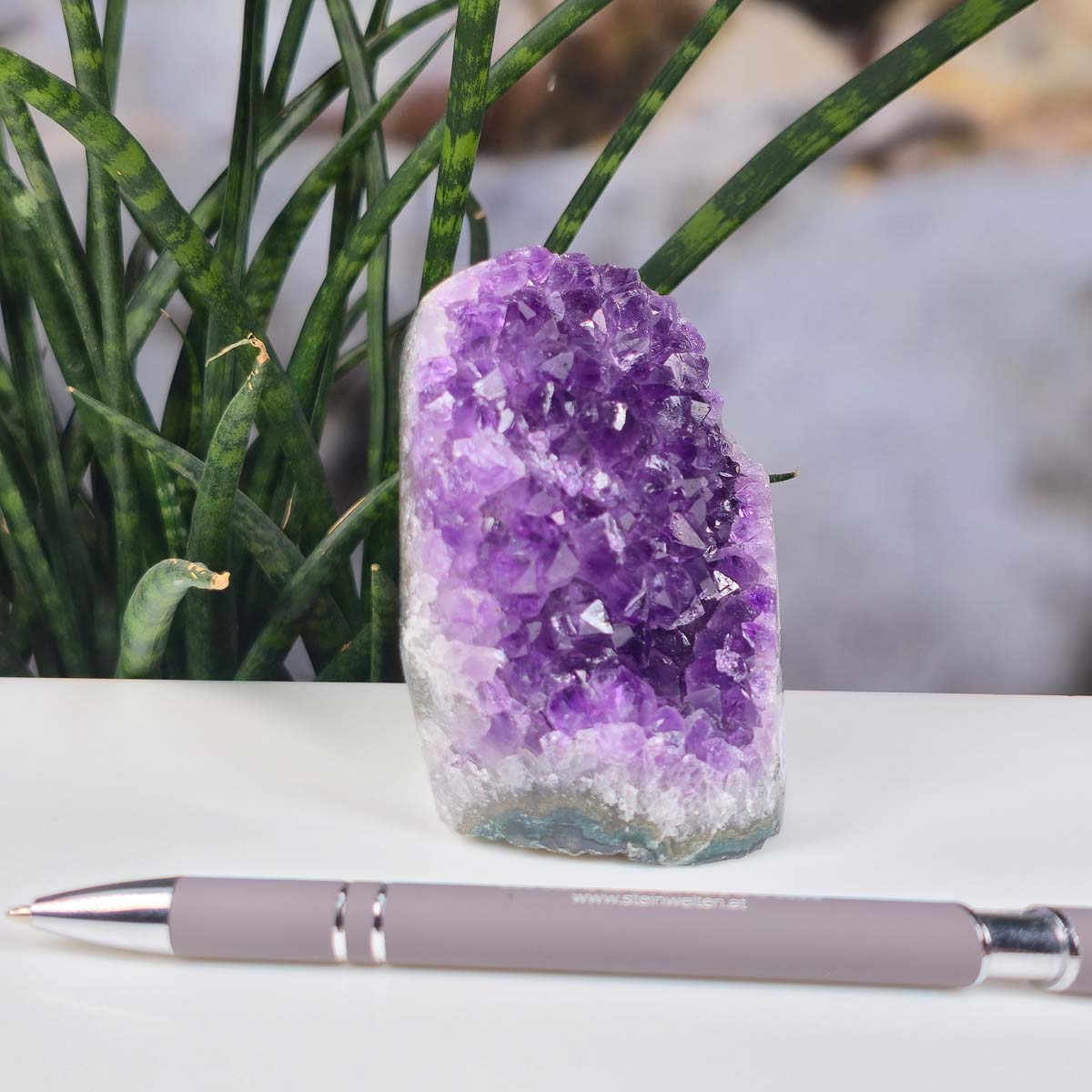 Uruguay Amethyst Mini Geode - 10x7x6cm - Harmonie und Entspannung – extra dunkler Qualität - NR 20, violet crystals with plant backdrop