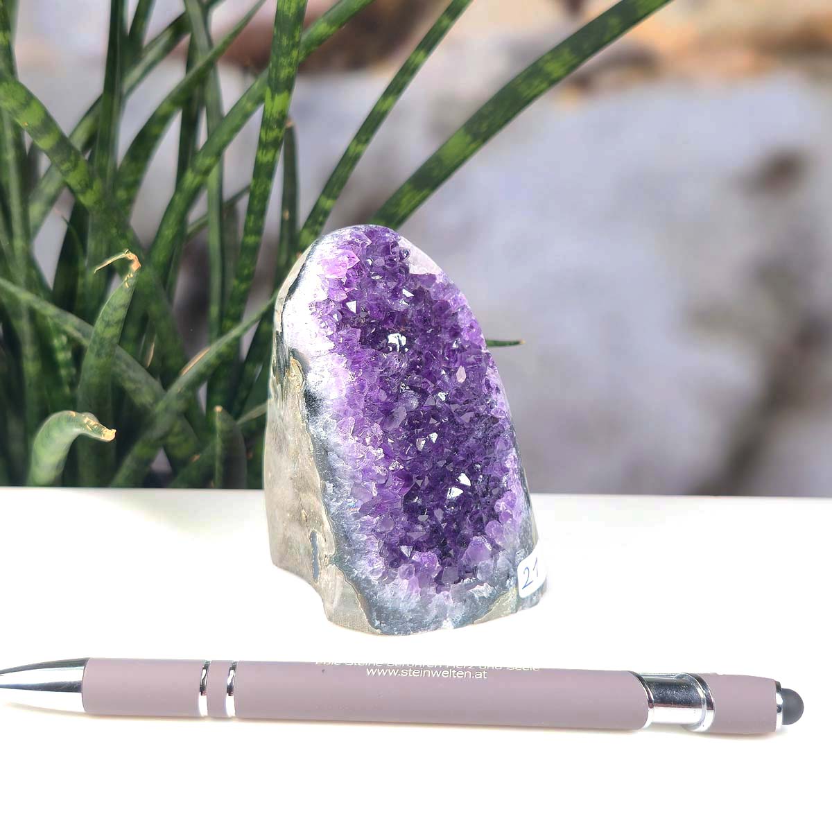 Uruguay Amethyst Mini Geode - 8x6x6cm - Harmonie und Entspannung – extra dunkler Qualität - NR 21 beside a pen with plants in background.