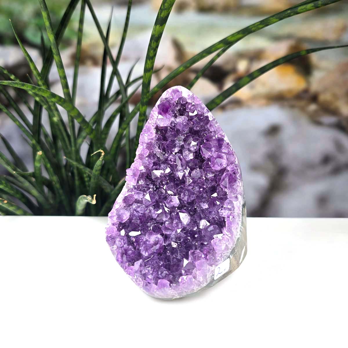 Uruguay Amethyst Mini Geode - 12x9x9cm - Harmonie und Entspannung – extra dunkler Qualität - NR 2 showcasing its deep purple crystals.