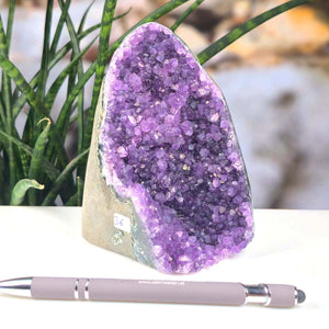 Uruguay Amethyst Mini Geode - 13x10x8cm - Harmonie und Entspannung – extra dunkler Qualität - NR 36 auf Tisch mit Pflanzen