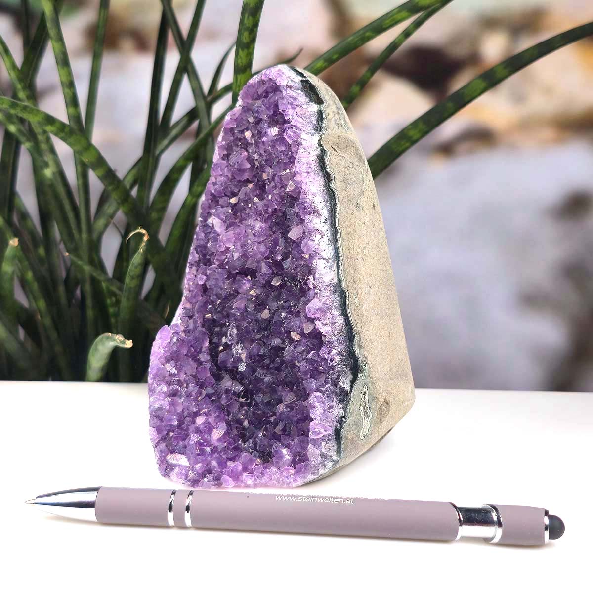Uruguay Amethyst Mini Geode - 13x10x8cm - Harmonie und Entspannung – extra dunkler Qualität - NR 36, gezeigt auf einem Tisch mit Pflanze