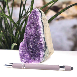 Uruguay Amethyst Mini Geode - 13x10x8cm - Harmonie und Entspannung – extra dunkler Qualität - NR 36, gezeigt auf einem Tisch mit Pflanze