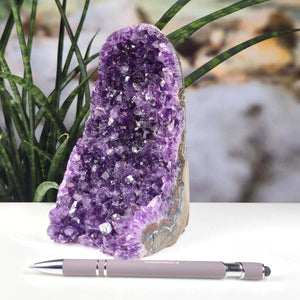 Uruguay Amethyst Mini Geode - 16x9x11cm - Harmonie und Entspannung – extra dunkler Qualität - NR 38 vor grüner Pflanze