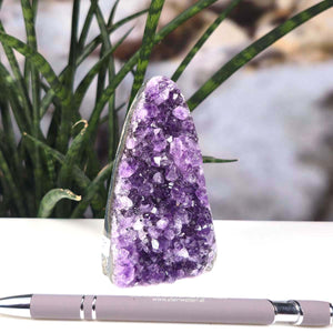 Uruguay Amethyst Mini Geode - 10x6x6cm - Harmonie und Entspannung – extra dunkler Qualität - NR 51 vor Pflanze in Nahaufnahme