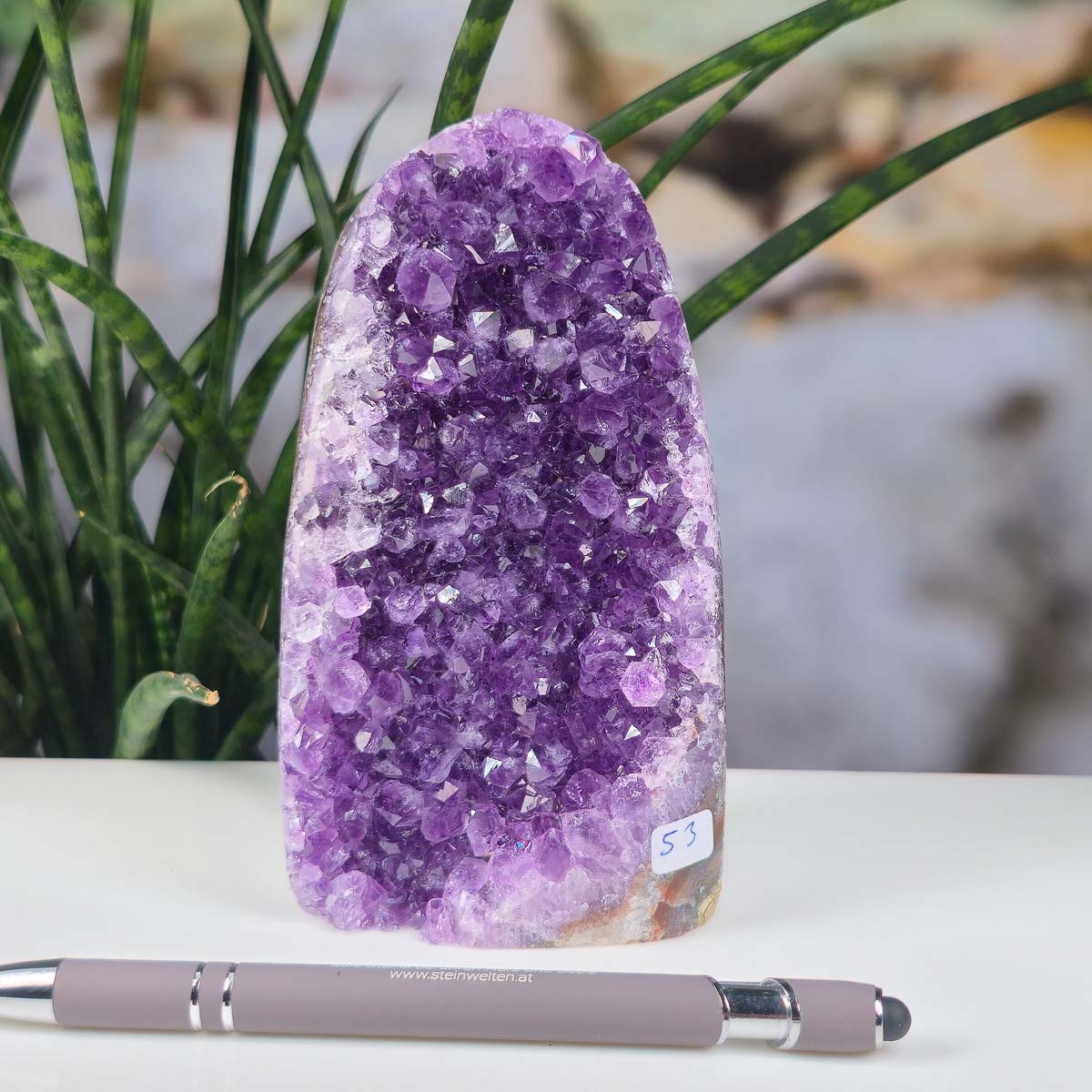 Uruguay Amethyst Mini Geode - 14x7x6cm - Harmonie und Entspannung – extra dunkler Qualität - NR 53, auf Tisch mit Stift und Pflanze