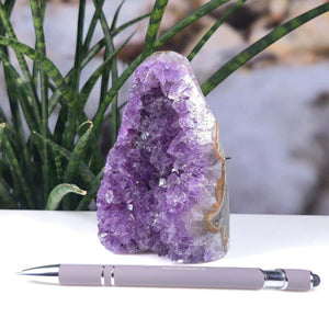 Uruguay Amethyst Mini Geode - 11x9x6cm - Harmonie und Entspannung – extra dunkler Qualität - NR 56 vor einer Pflanze mit Stift
