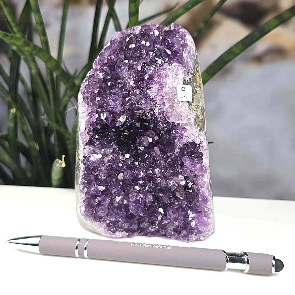 Uruguay Amethyst Mini Geode - 12x8x6cm - Harmonie und Entspannung – extra dunkler Qualität - NR 9 vor Pflanzenhintergrund