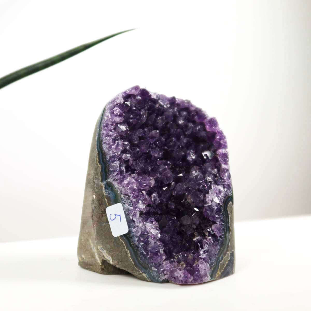 Uruguay Amethyst Mini Geode 7x10cm with deep purple crystals, promoting harmony and relaxation; displayed against a plant background.