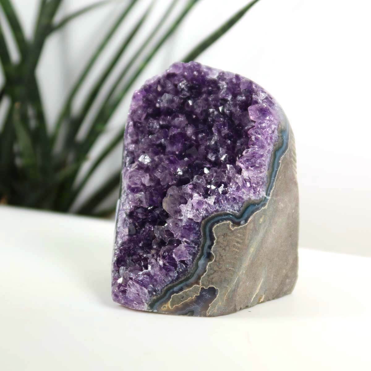 Uruguay Amethyst Mini Geode 7x10cm with deep purple crystals, promoting harmony and relaxation; displayed against a plant background.