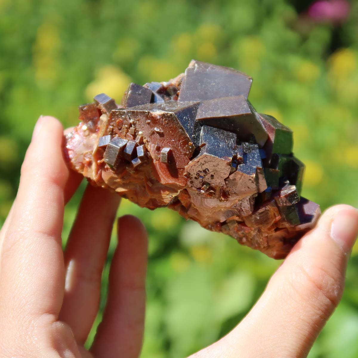 Vanadinit - Natürliche Kristallstufe aus Marokko 8x4x4cm - 0,3kg Nr.9 in der Hand mit grünem Hintergrund