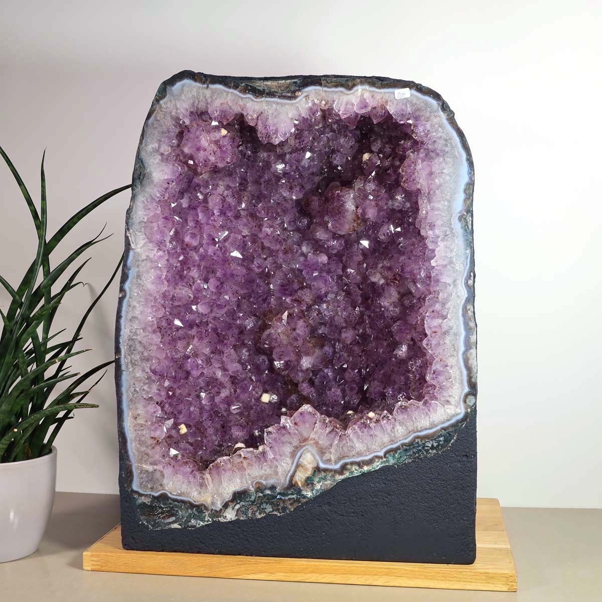 Amethyst Druse – Geode - 33x44x20cm und 35kg – Steinwelten OG - Nr. 457, unique decorative crystal for stylish interiors