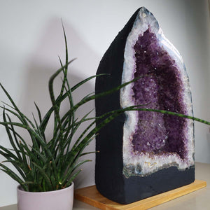 Amethyst Druse – Geode - 34x55x27cm und 55,4kg – Steinwelten OG - Nr. 454 next to a potted plant