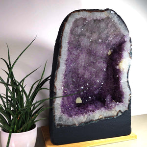 Amethyst Druse – Geode - 35x56x29cm und 61kg – Steinwelten OG - Nr. 489, decorative crystal for stylish interiors