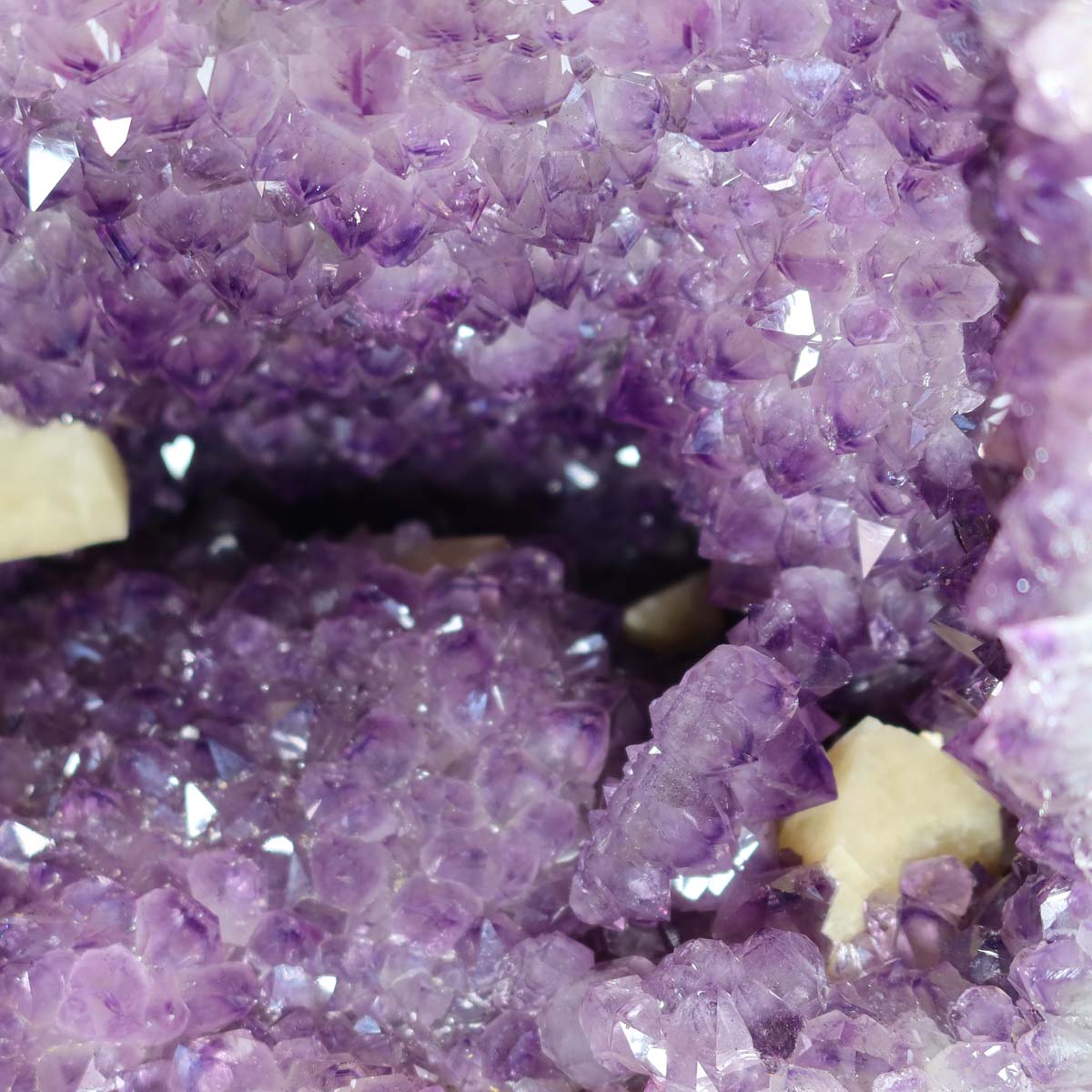 Amethyst Druse – Geode - 35x56x29cm und 61kg – Steinwelten OG - Nr. 489 showcasing purple crystals inside a geode.