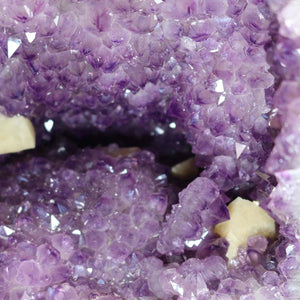 Amethyst Druse – Geode - 35x56x29cm und 61kg – Steinwelten OG - Nr. 489 showcasing purple crystals inside a geode.