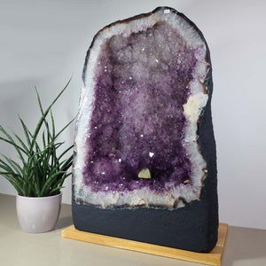 Amethyst Druse – Geode - 35x56x29cm und 61kg – Steinwelten OG - Nr. 489, unique decor piece for living spaces and meditation rooms.