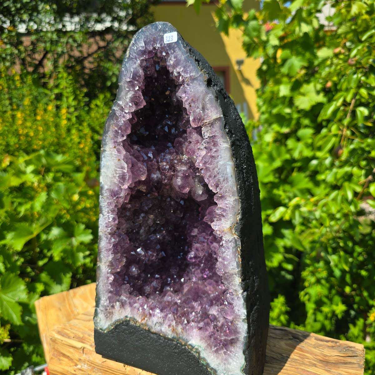 Amethyst Druse – Geode - 36x20x16cm und 11,4kg – Steinwelten OG - Nr. 323, perfect for stylish interiors