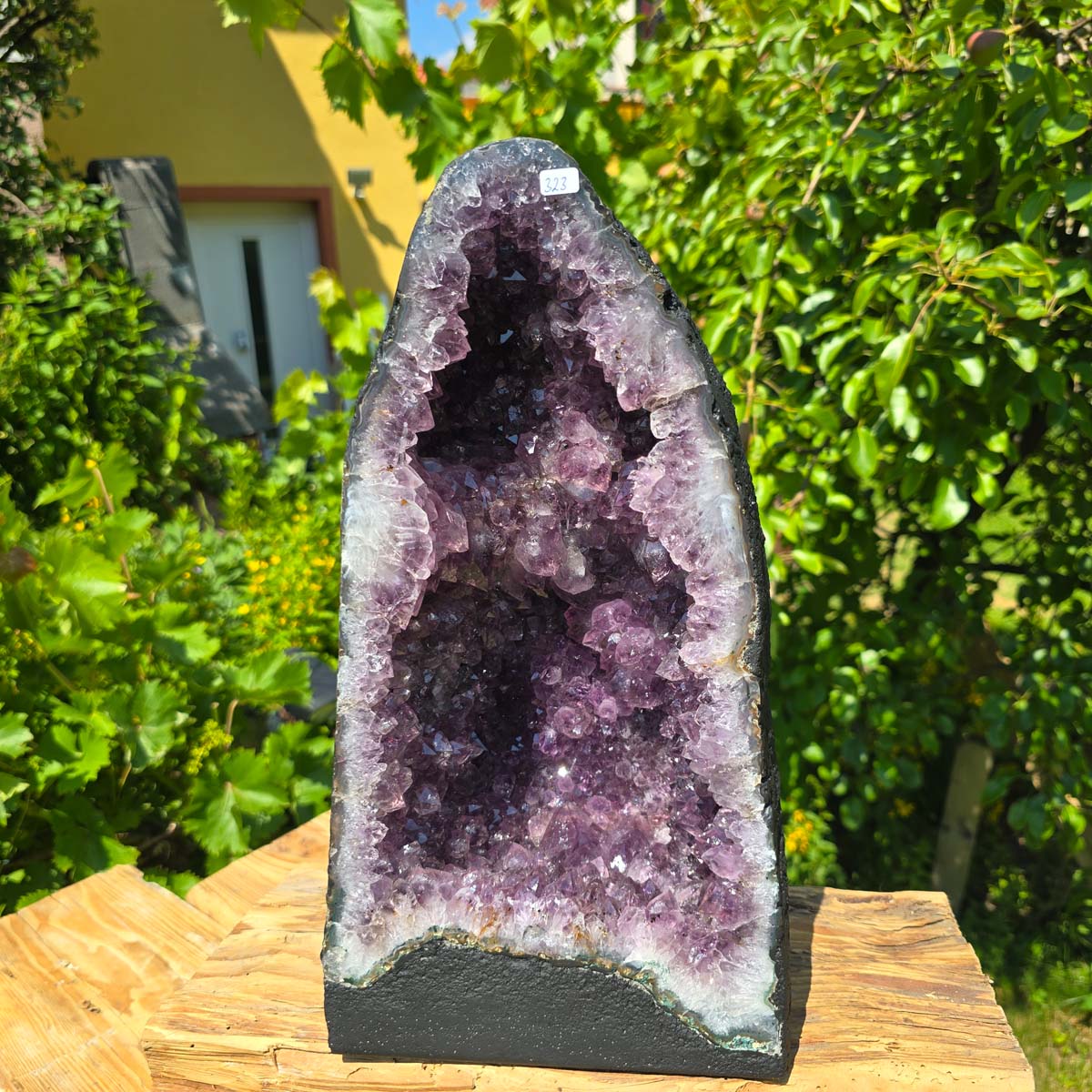 Amethyst Druse – Geode - 36x20x16cm und 11,4kg – Steinwelten OG - Nr. 323 displayed against a lush garden backdrop.
