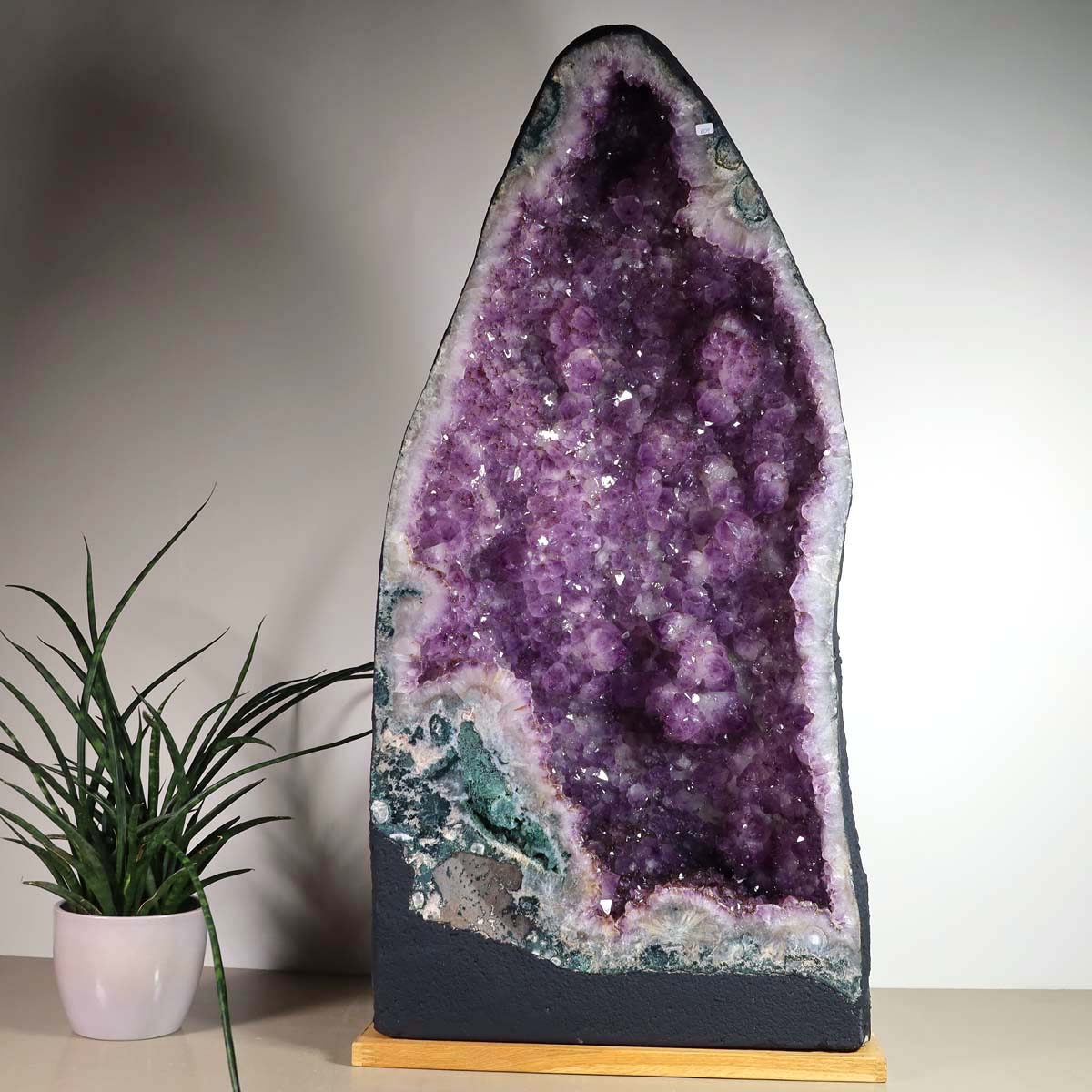 Amethyst Druse – Geode - 38x80x24cm und 69,4kg – Steinwelten OG - Nr. 458, unique decor for stylish spaces, enhances interior design