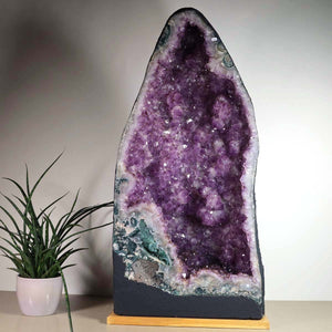 Amethyst Druse – Geode - 38x80x24cm und 69,4kg – Steinwelten OG - Nr. 458, unique decor for stylish spaces, enhances interior design