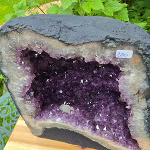Amethyst-Drus – Geod – Harmonie an Entspanung - 29x26x19cm - Nr. 220