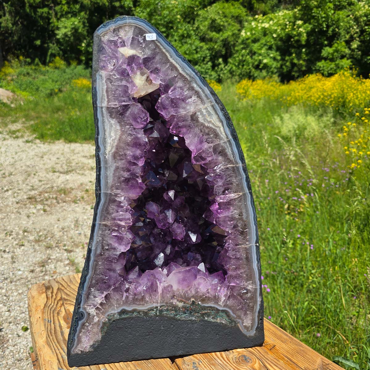 Amethyst Druse – Geode – Harmonie an Entspanung - 49x30x19cm - Nr. 43