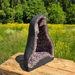 Amethyst Druse – Geode – Harmonie an Entspanung - 49x35x22cm - Nr. 124