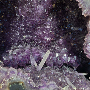 Amethyst Druse – Geode – Harmonie an Entspanung - 52x31x21cm - Nr. 51