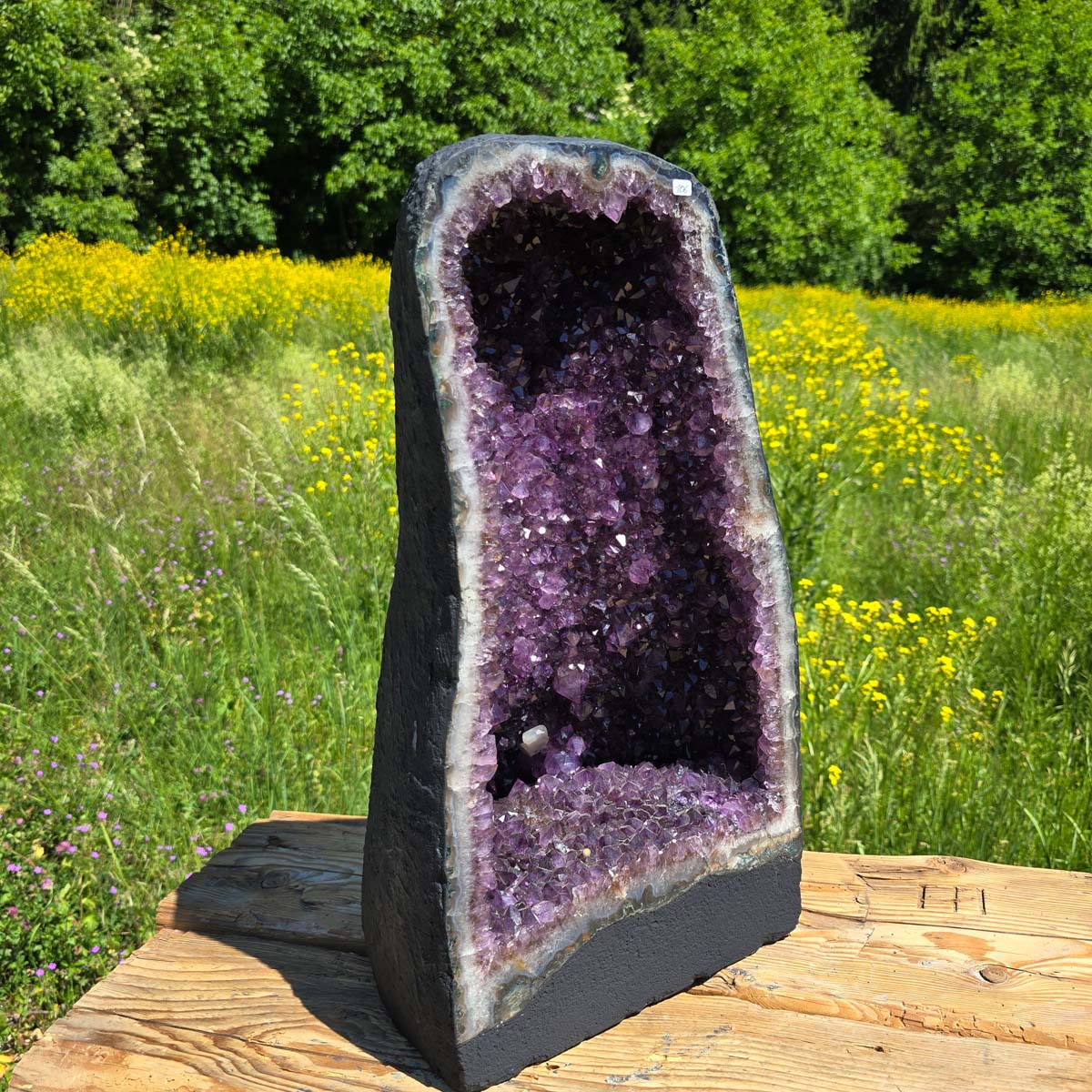 Amethyst Druse – Geode – Harmonie an Entspanung - 55x29x22cm - Nr. 106