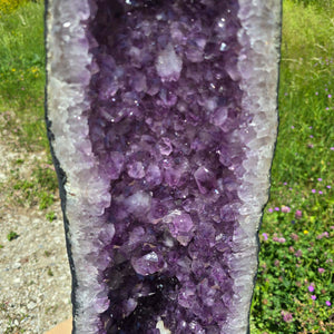 Amethyst Druse – Geode – Harmonie a Relaxatioun - 110x27x23cm - Nr. 140