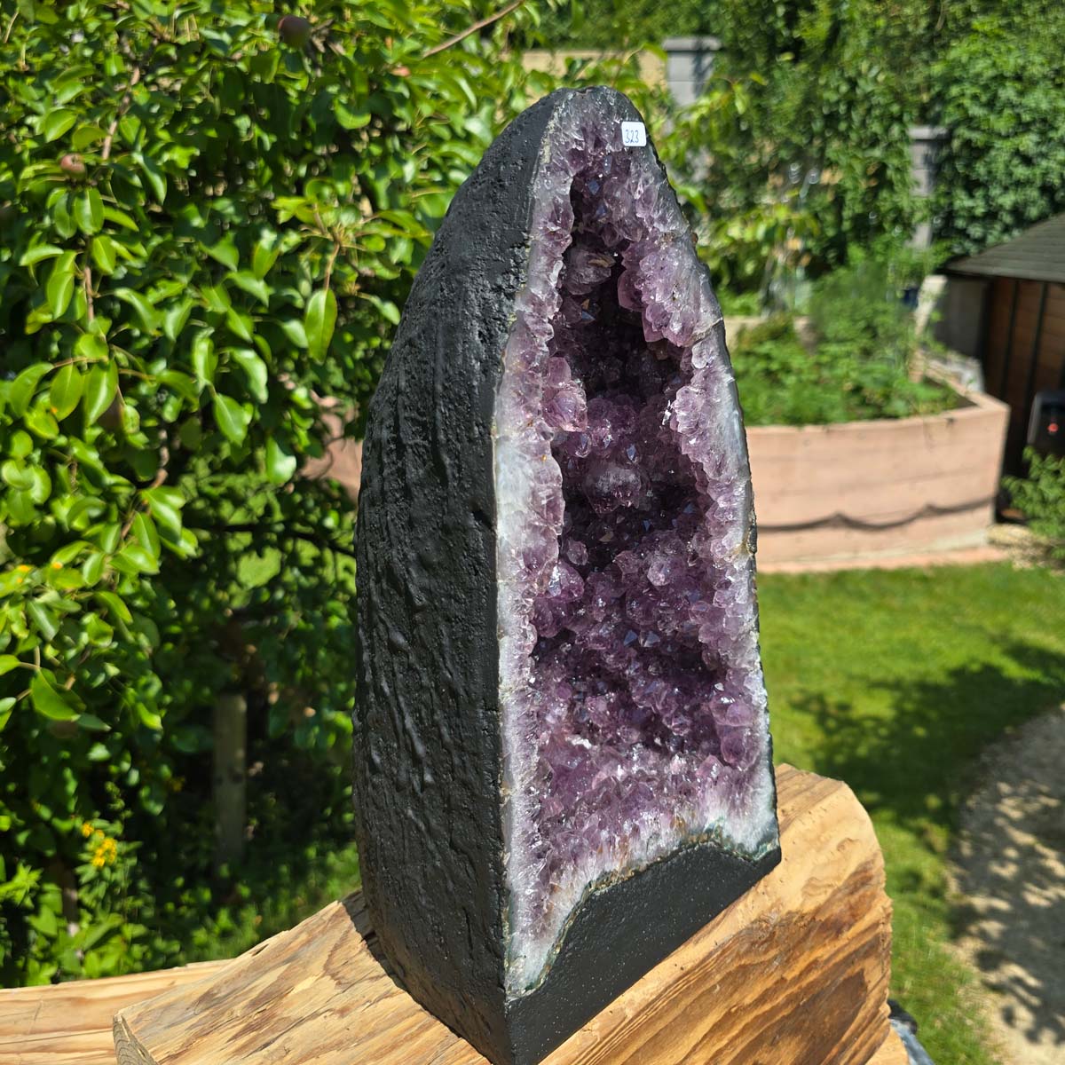 Amethyst Druse – Geode - 36x20x16cm und 11,4kg – Steinwelten OG - Nr. 323 in Gartenumgebung