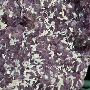 Amethyst Druse Amethyst Geode in Herzform mit Metallsockel 40x34x12cm - NR-26, Detailansicht der tiefvioletten Kristalle.