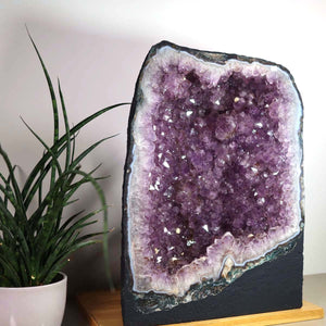 Amethyst Druse – Geode - 33x44x20cm und 35kg – Steinwelten OG - Nr. 457, ideal für Innenarchitektur, Meditation und innere Ruhe.
