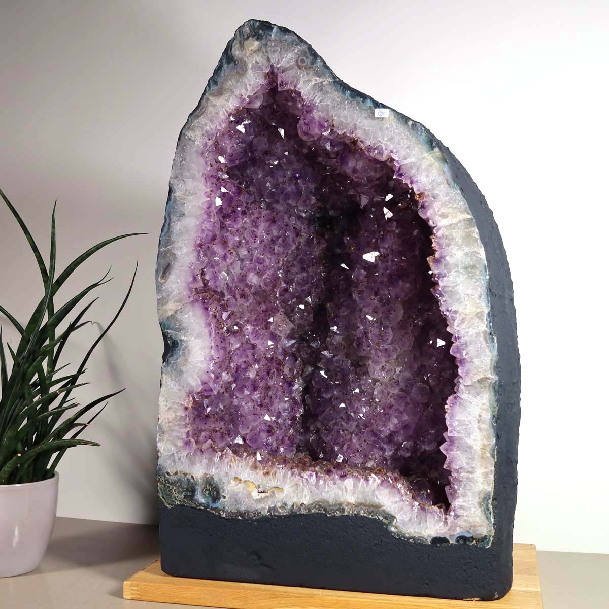 Amethyst Druse – Geode - 34x55x27cm und 55,4kg – Steinwelten OG - Nr. 454, unique crystal display for stylish interiors.