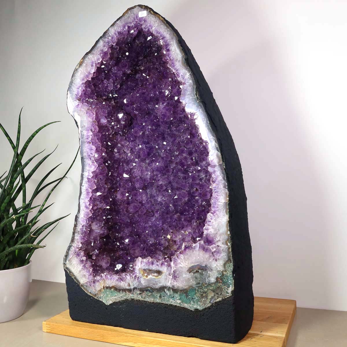 Amethyst Druse – Geode - 30x52x20cm und 33kg – Steinwelten OG - Nr. 459, ideal for stylish interiors and therapy rooms, on display.