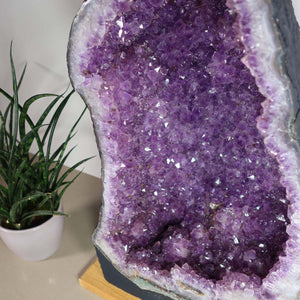 Amethyst Druse – Geode - 30x52x20cm und 33kg – Steinwelten OG - Nr. 459, unique decorative crystal for elegant spaces and meditation.