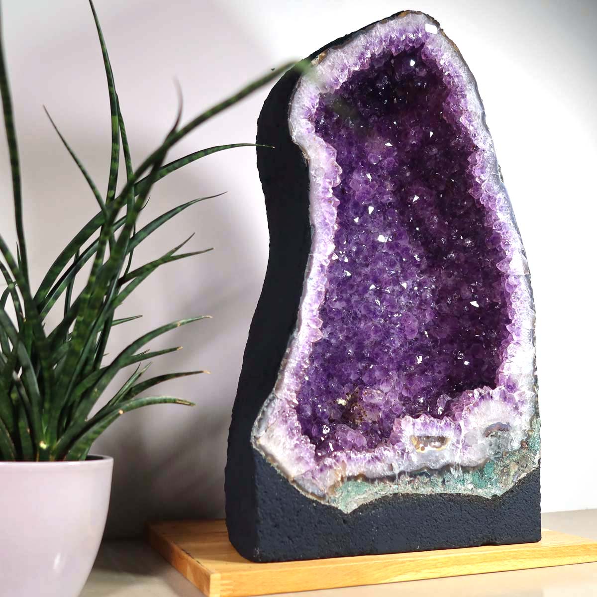 Amethyst Druse – Geode - 30x52x20cm und 33kg – Steinwelten OG - Nr. 459, ideal for stylish interiors and therapy rooms, on display.