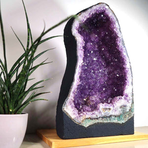 Amethyst Druse – Geode - 30x52x20cm und 33kg – Steinwelten OG - Nr. 459 displaying unique crystal structure.