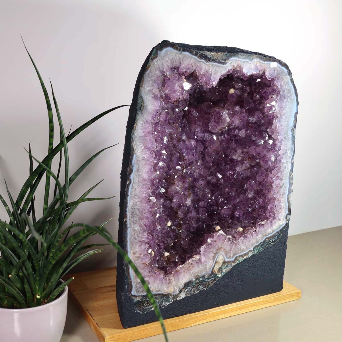 Amethyst Druse – Geode - 33x44x20cm und 35kg – Steinwelten OG - Nr. 457, ideal for stylish interiors and therapeutic spaces.