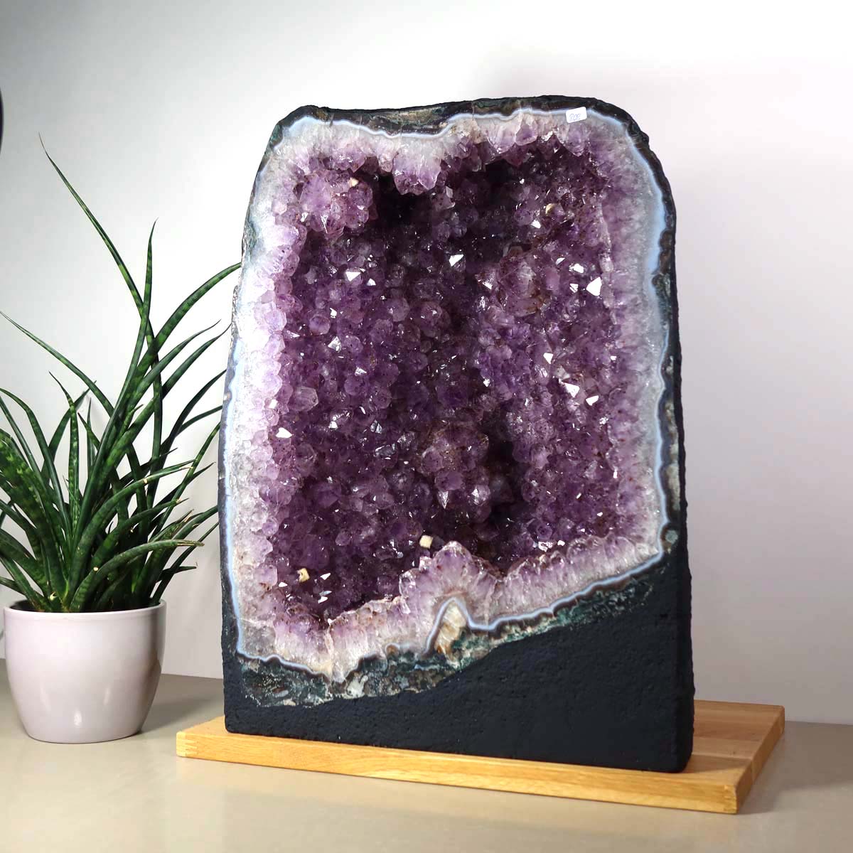 Amethyst Druse – Geode - 33x44x20cm und 35kg – Steinwelten OG - Nr. 457 on display, perfect for decoration and meditation.